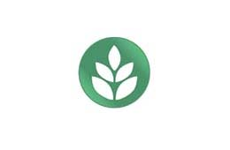 FLV IV Gama: Vegetais Higienizados Minimamente Processados e Prontos para o Consumo