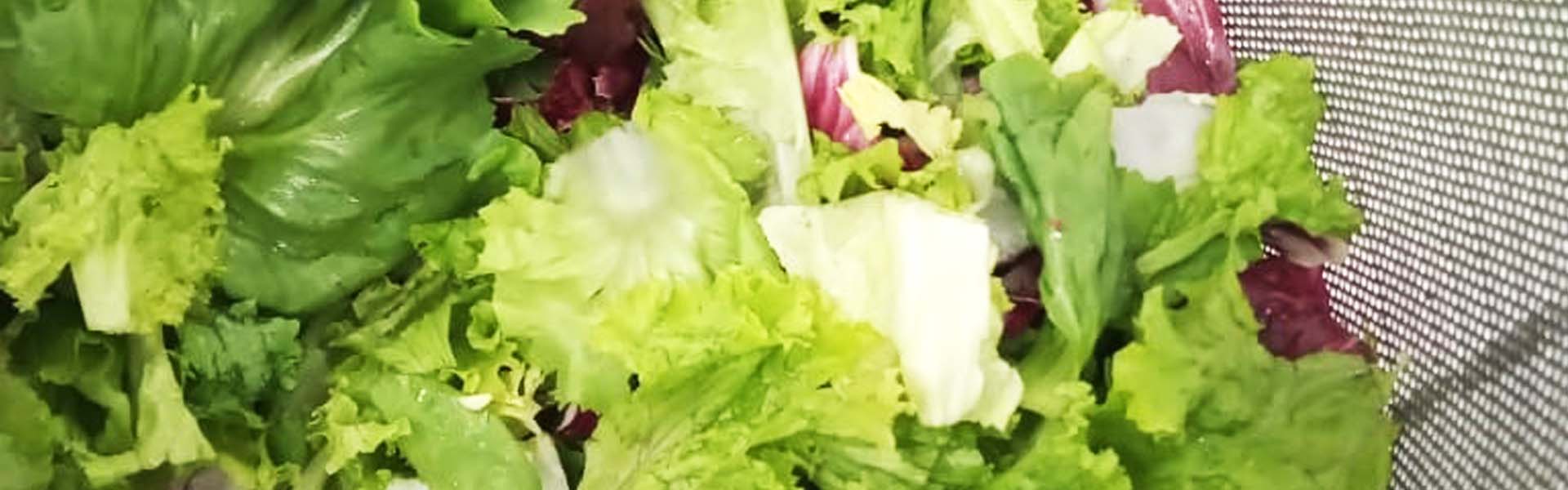  CONSULTORIA PARA O PROCESSAMENTO DE VEGETAIS FRESCOS HIGIENIZADOS