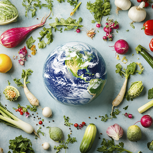  SUSTENTABILIDADE  