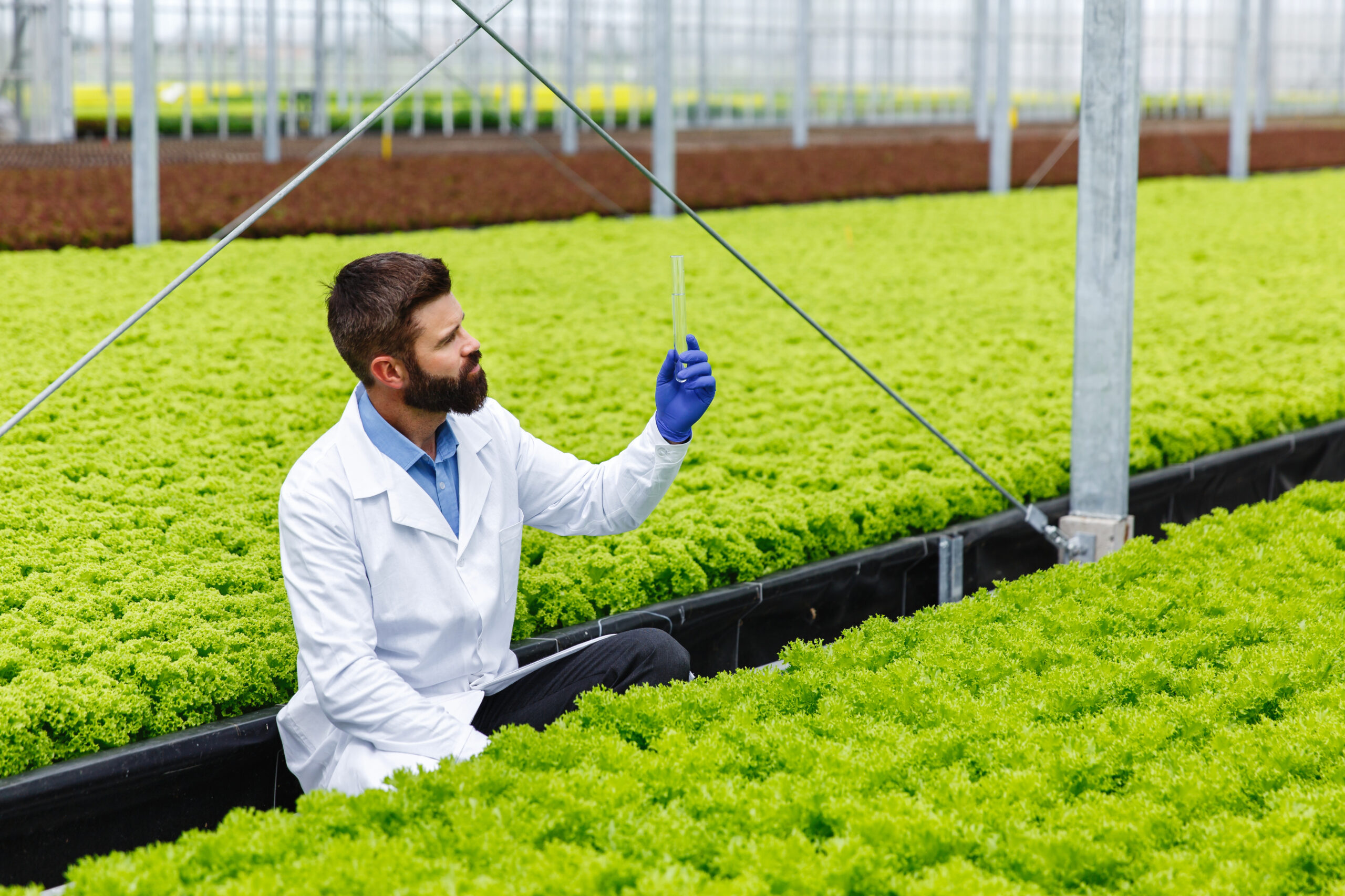 Seu parceiro estratégico para transformar desafios em resultados na agroindústria de FLV minimamente processados.