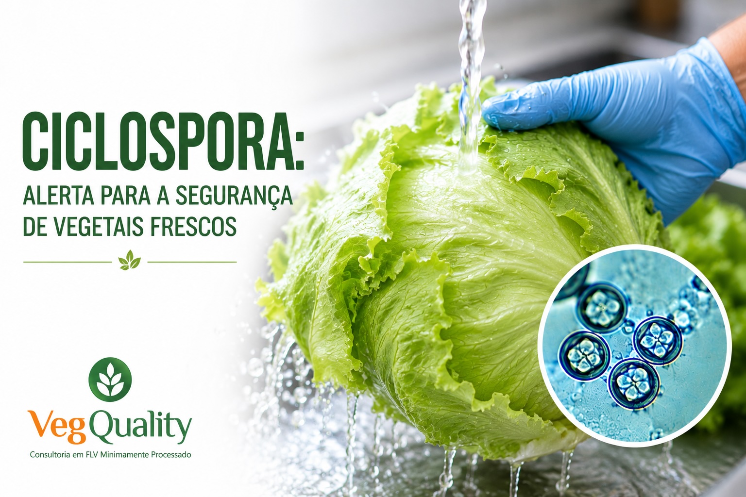 Entre Manchetes e Ciência: o caso Cyclospora