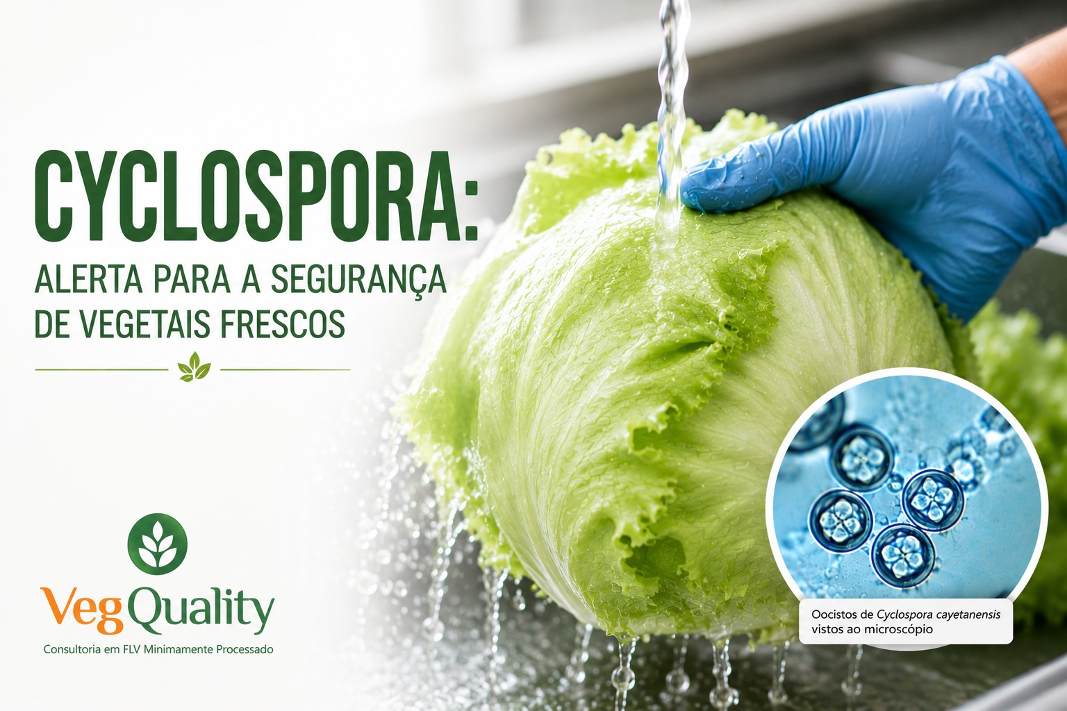 Entre Manchetes e Ciência: o caso Cyclospora